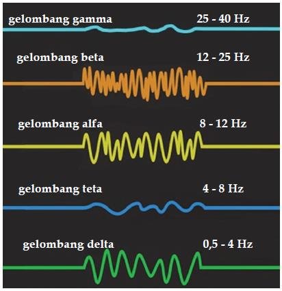 gelombang otak